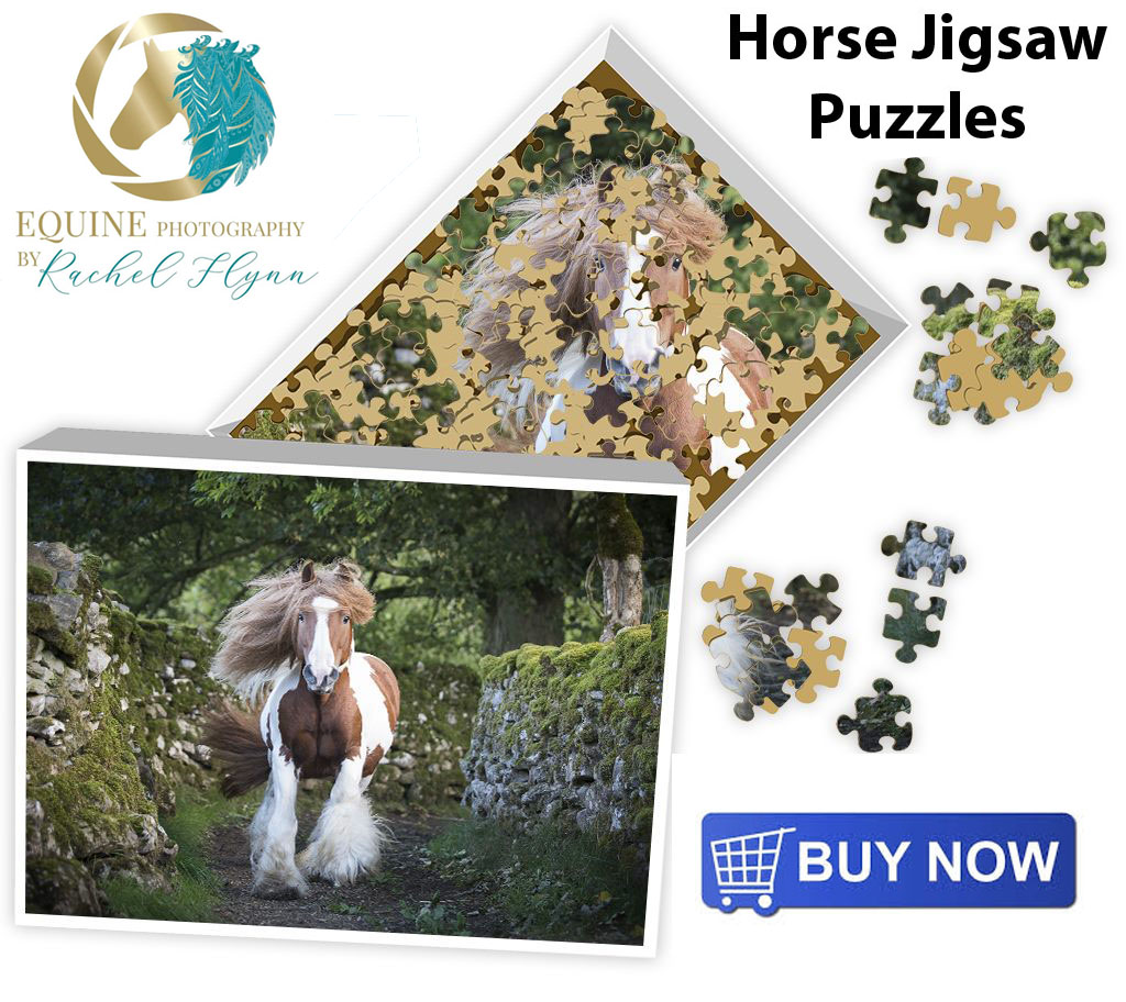 Horse Jigsaw Puzzle